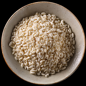 Koji Koji