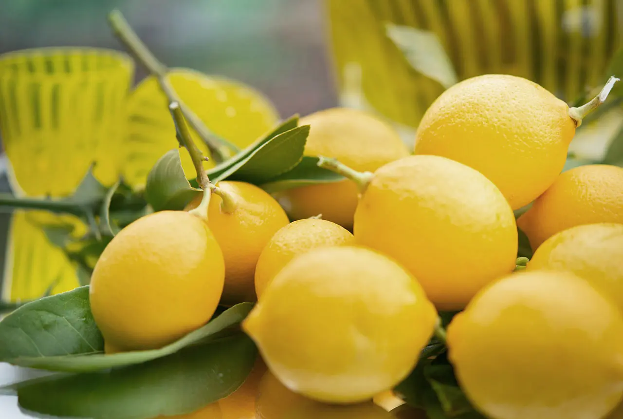 Lemons