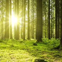 nature climate