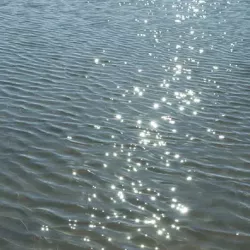 nature water