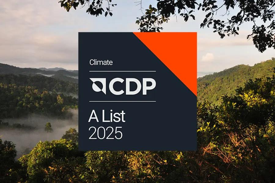 Badge of the CDP A List 2025