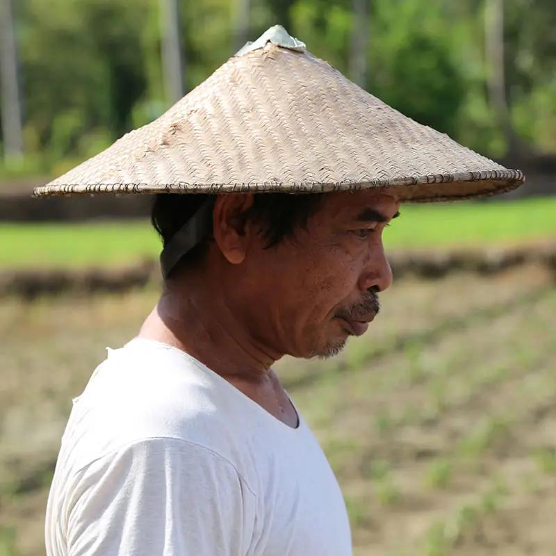 A man wearing a traditional straw hat walks alongside a lush, green rice paddy. He has a serious expression as he focuses on his surroundings under bright sunlight.