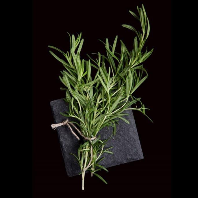 Rosemary