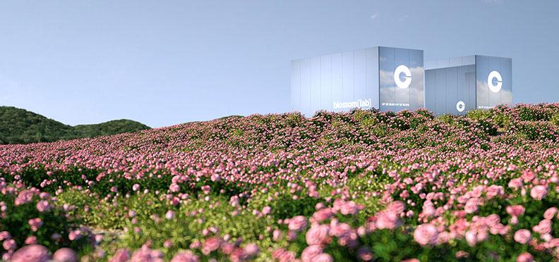 奇华顿推出其调香史上首个‘Blossom Lab™’，以设计天然原产直采的未来   