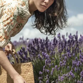 A person with long hair leans over a field of vibrant purple lavender, holding a woven basket. 